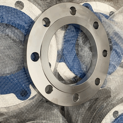 SS 316 flange