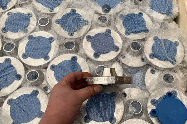 Raised Face Ss Flange