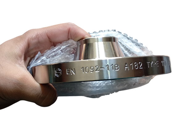 Raised Face Ss Flange